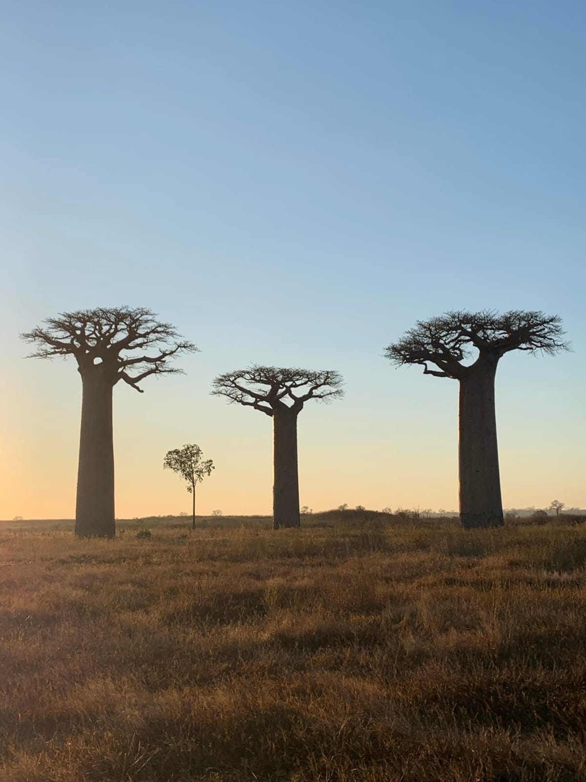 Circuit Morondava (10)