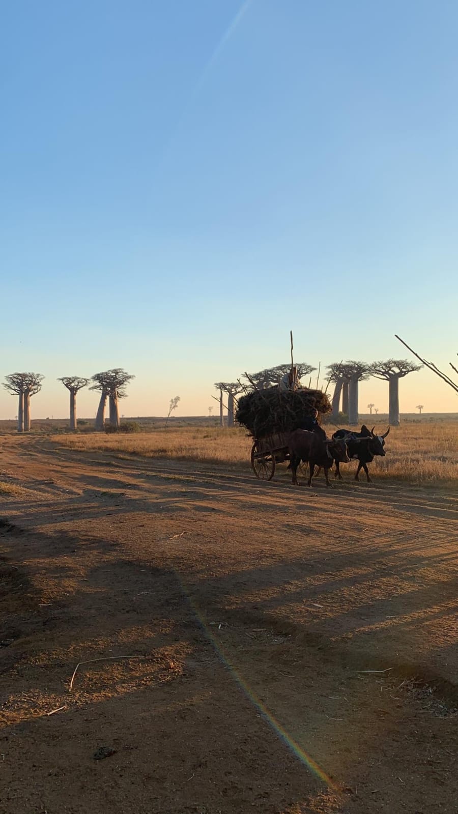 Circuit Morondava (12)