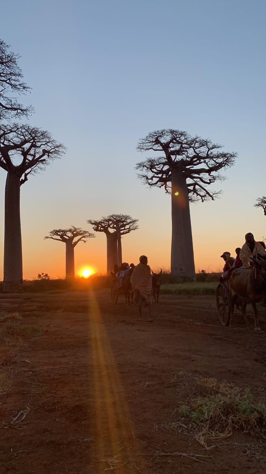 Circuit Morondava (13)