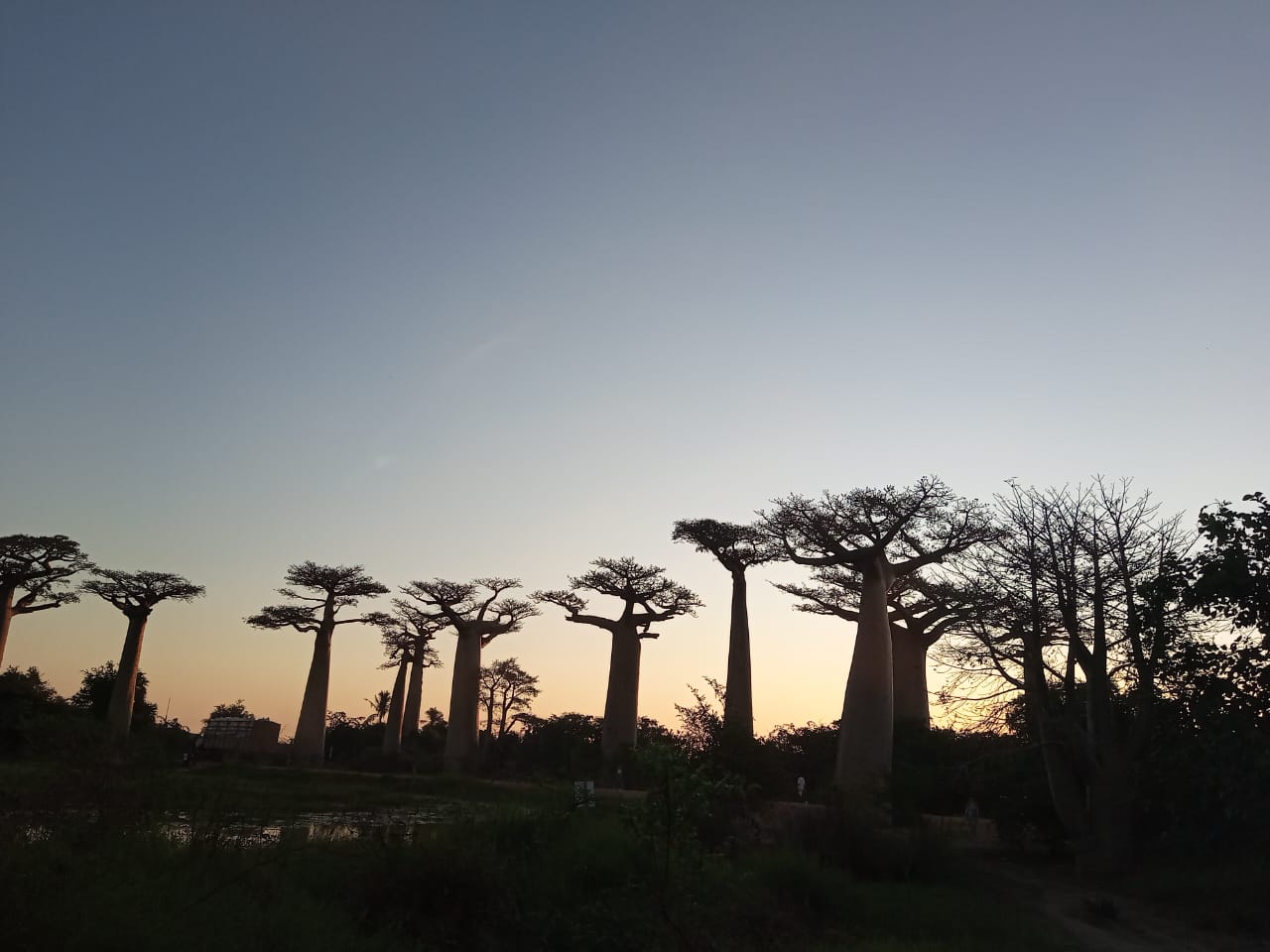 Circuit Morondava (16)