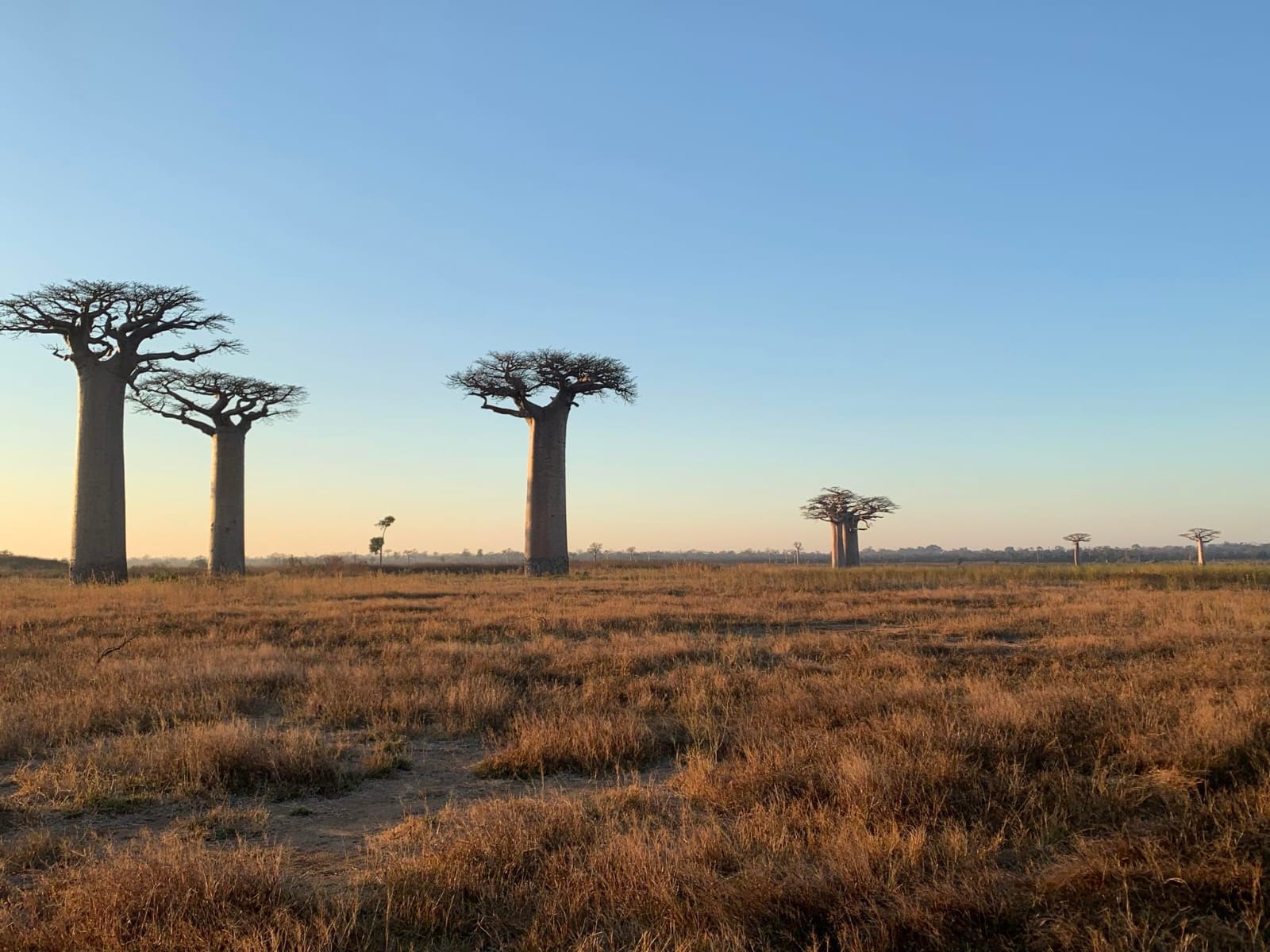 Circuit Morondava (2)