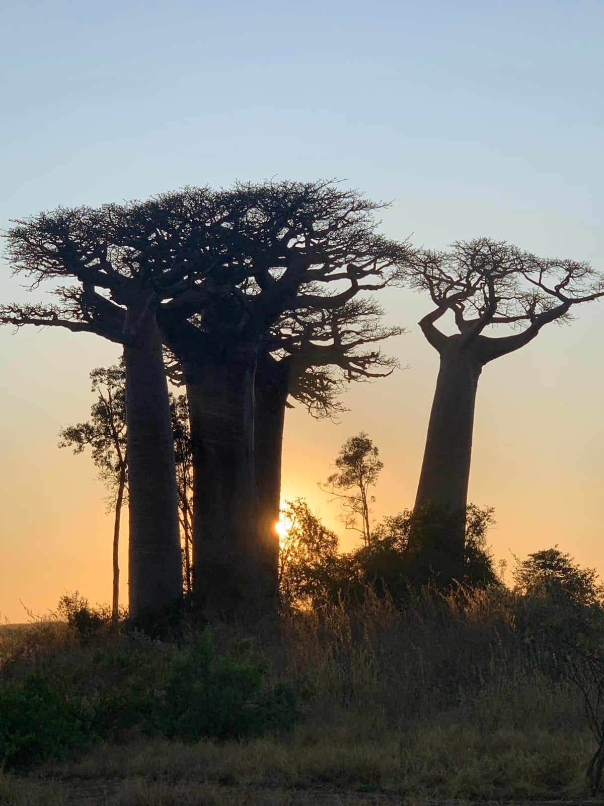 Circuit Morondava (4)