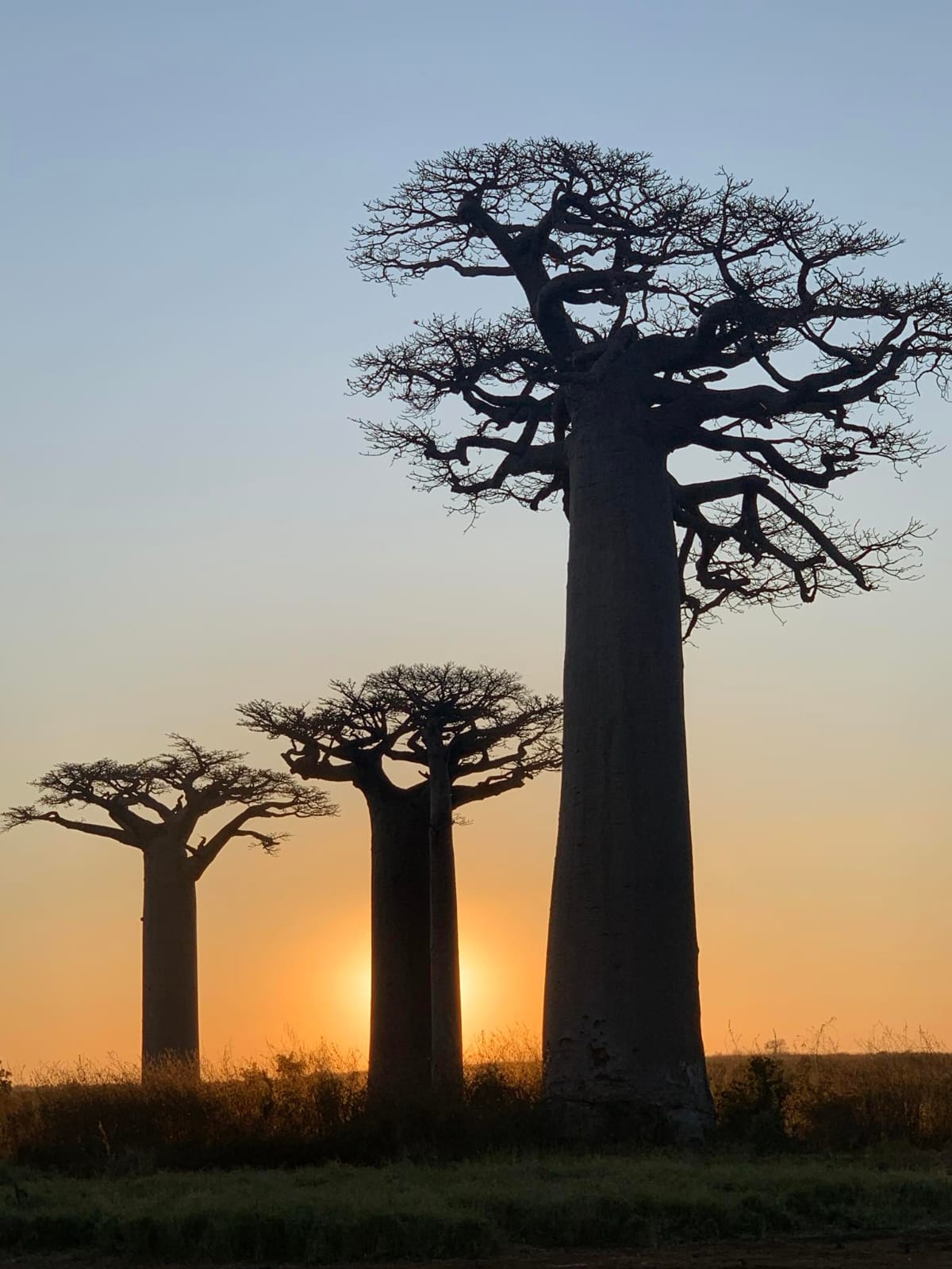 Circuit Morondava (5)