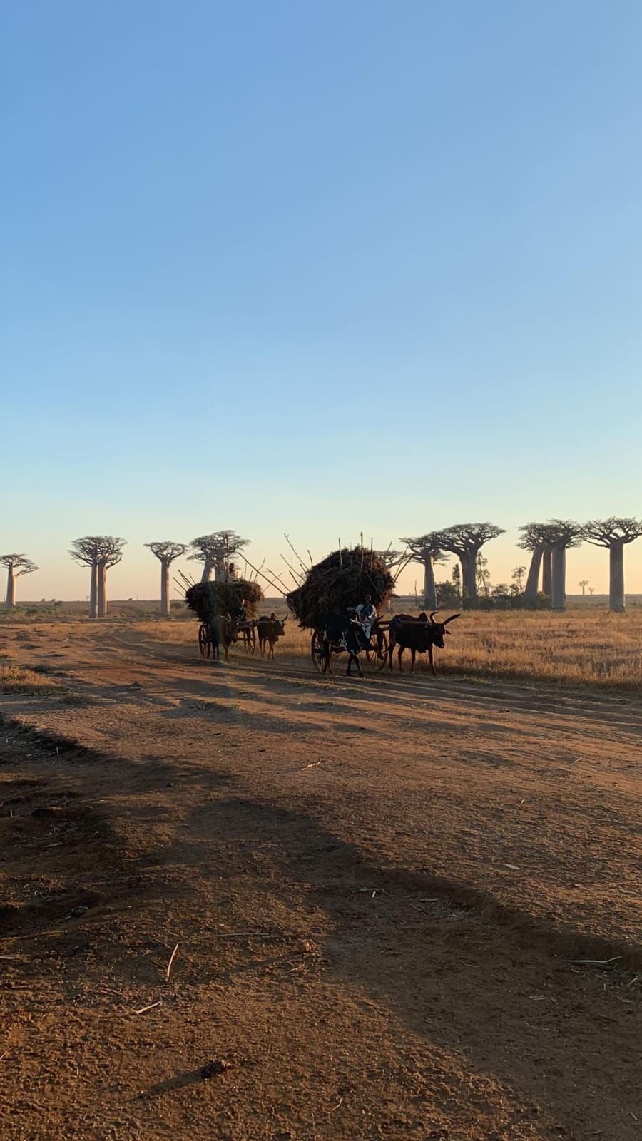 Circuit Morondava (6)