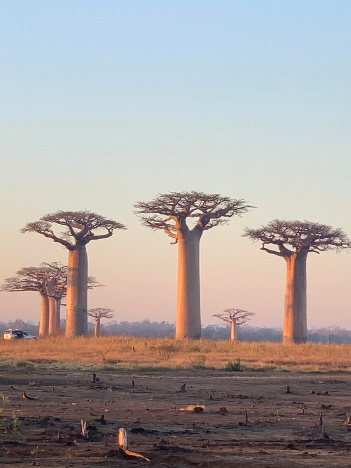 Circuit Morondava (7)