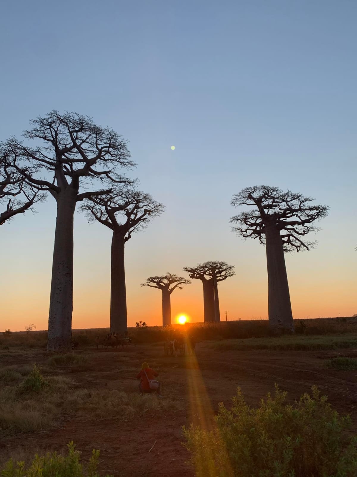 Circuit Morondava (9)